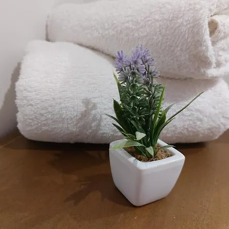 La Chicca Prato (Prato)